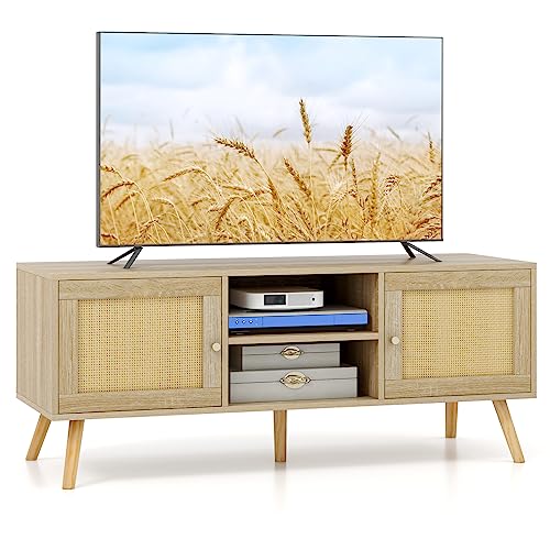 COSTWAY TV-Schrank, Rattan Lowboard für Fernseher bis zu 55 Zoll, Fernsehtisch mit 2 Türen & offenen Fächern, Fernsehschrank, TV-Regal für Wohnzimmer, 120 x 40 x 48,5 cm