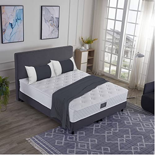 V6 Boxspringbetten Bestes Preis-Leistungsverhältni s (180 x 200 cm H3/H4, Anthrazit)