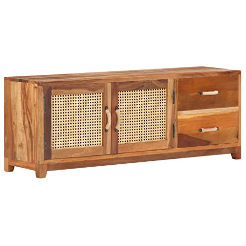 vidaXL TV Schrank mit 2 Türen 2 Schubladen TV Möbel Lowboard Sideboard Fernsehtisch Fernsehschrank HiFi-Schrank 120x30x45cm Recyceltes Massivholz